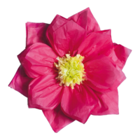 Paper flower,