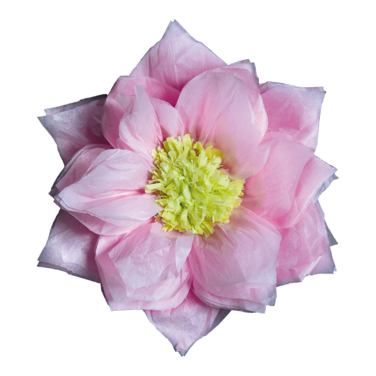 Paper flower,