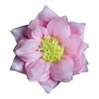 Paper flower,