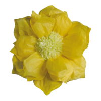 Paper flower,