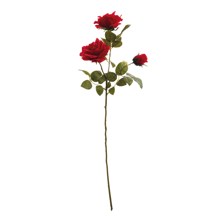 Rose spray,
