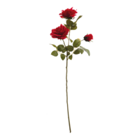 Rose spray,
