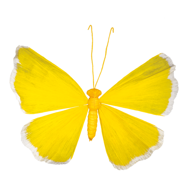 Butterfly,