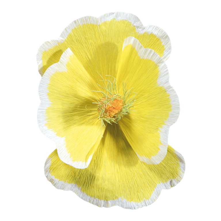 Blossom,