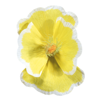 Blossom,