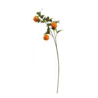 Orange spray,