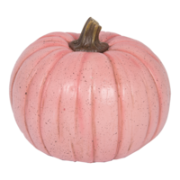 Pumpkin,