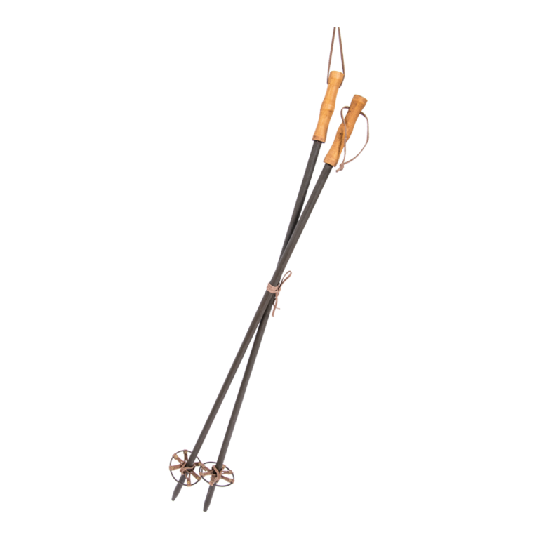Ski sticks,