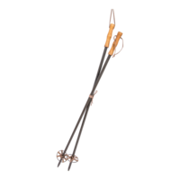 Ski sticks,