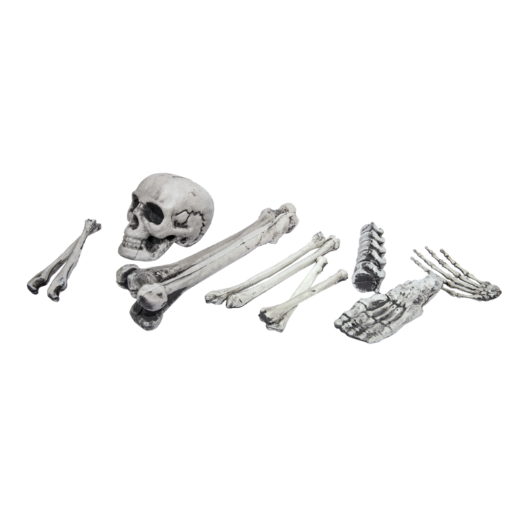 Set of bones,