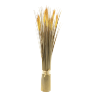Wheat grass bundle,