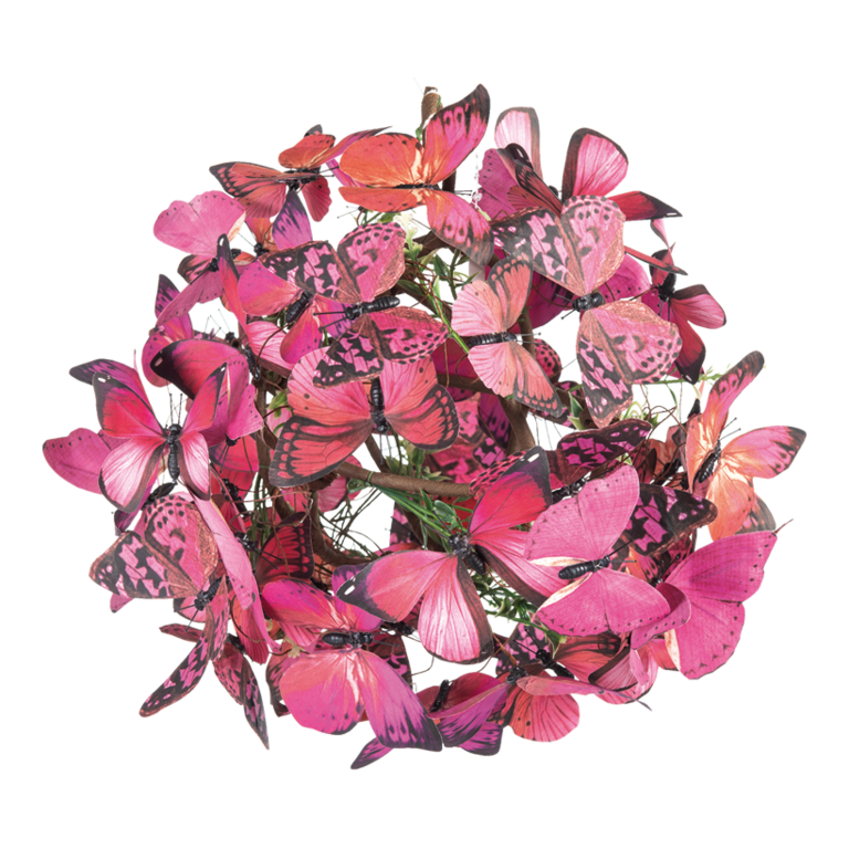 Butterfly ball,