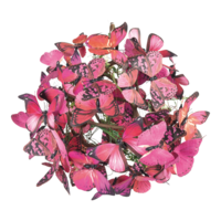 Butterfly ball,