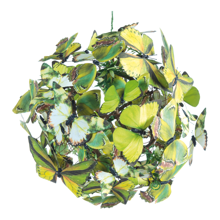 Butterfly ball,