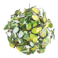 Butterfly ball,
