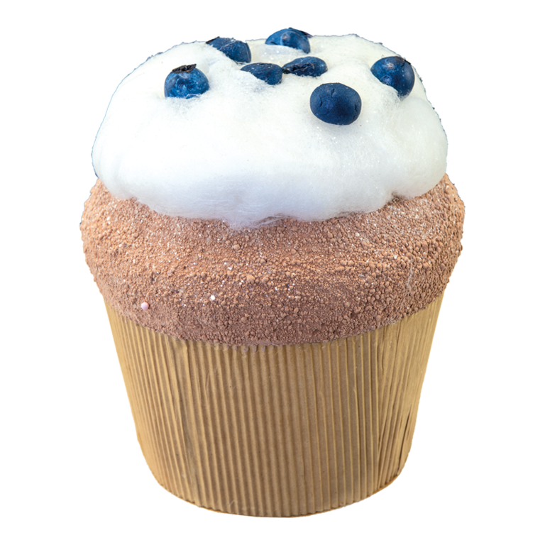 Blueberry cupcake,