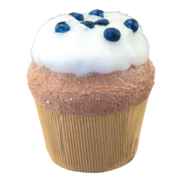 Blueberry cupcake,
