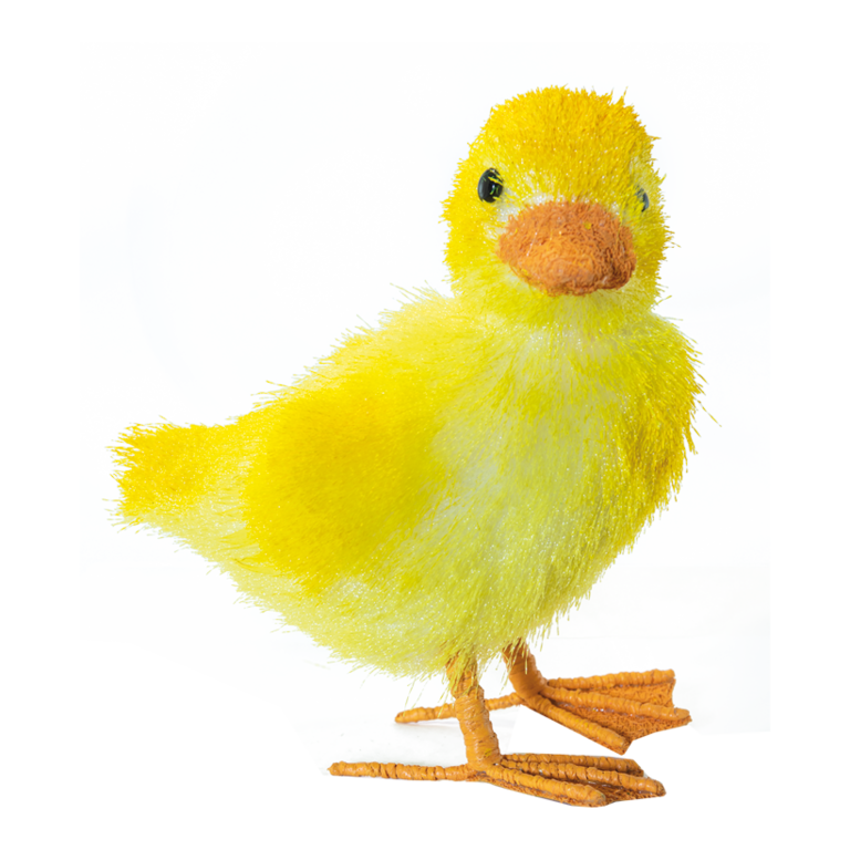 Duckling,