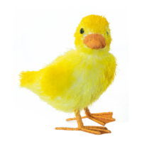 Duckling,