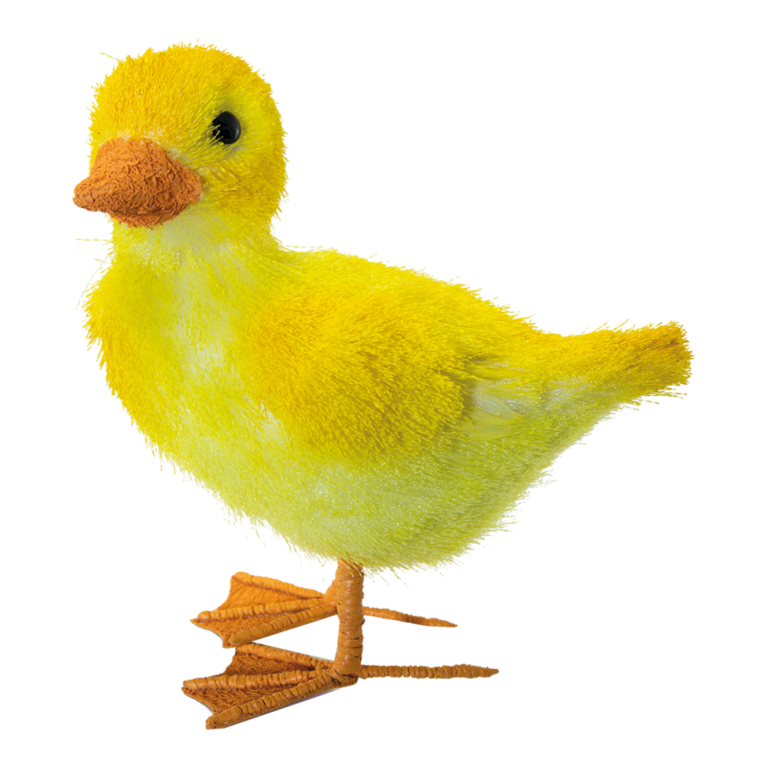 Duckling,