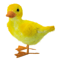 Duckling,