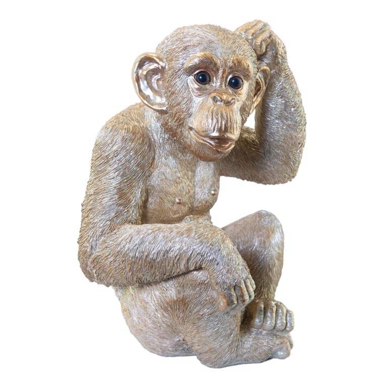 Monkey,