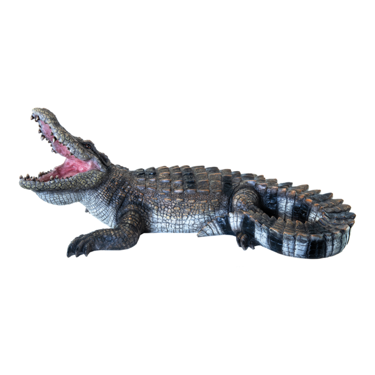 Crocodile,
