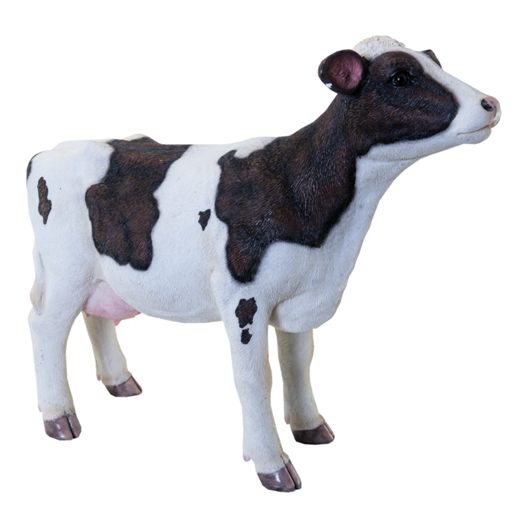Cow,