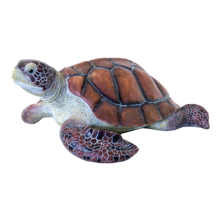 Turtle,