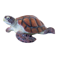 Turtle,