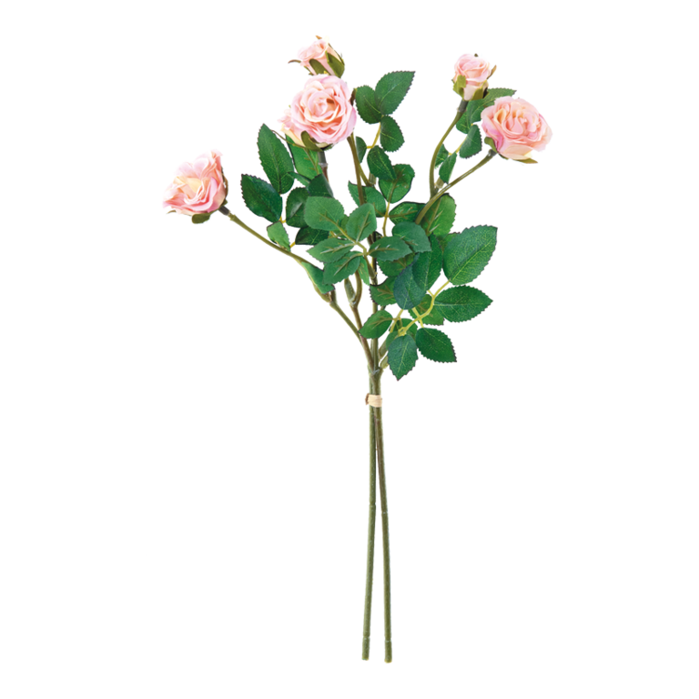 Bunch of roses,