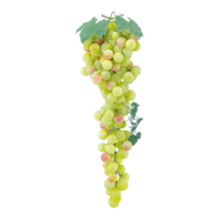 Grapes,