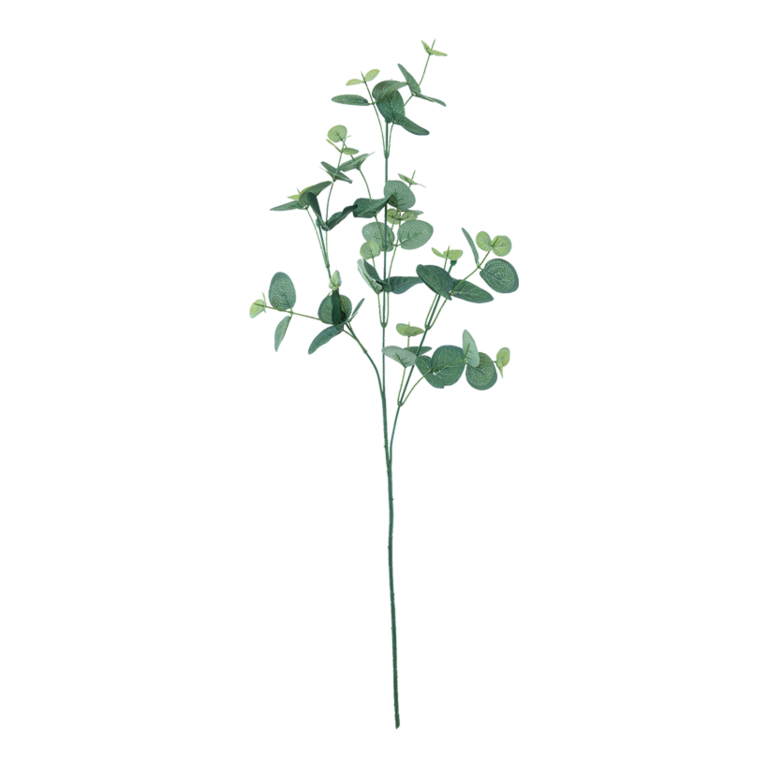 Eucalyptus spray,