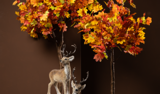 Herfst is coming! 