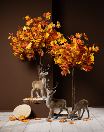 A Herfst 11