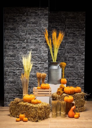 A Herfst 13
