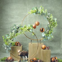 HW23_Herbst_Goldener_Ring_Elch-4.jpg