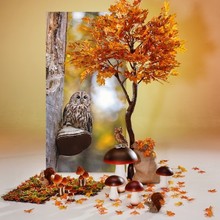 Herfst 1 DW.jpg