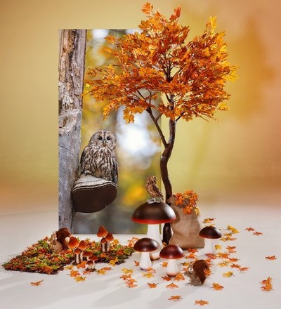 Herfst 11