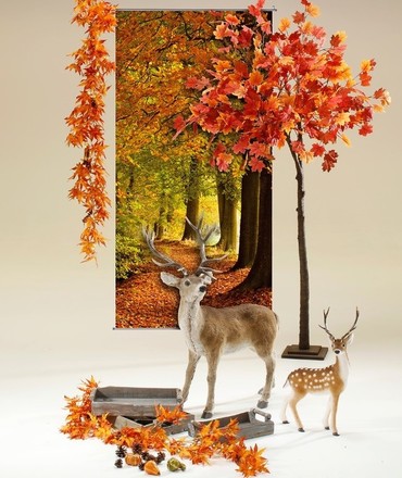 Herfst 06