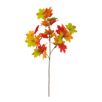 Maple leaf twig,