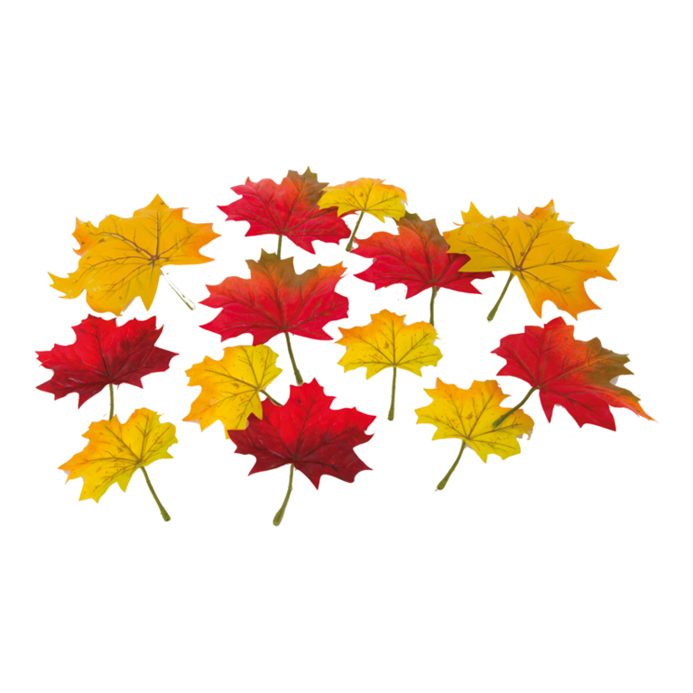 Maple leaves,