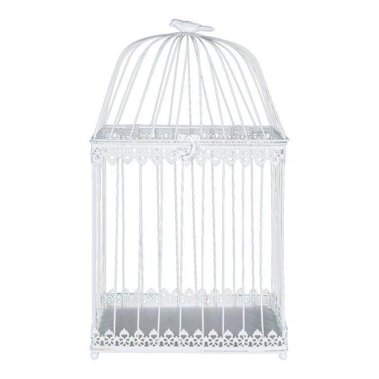 Bird cage,