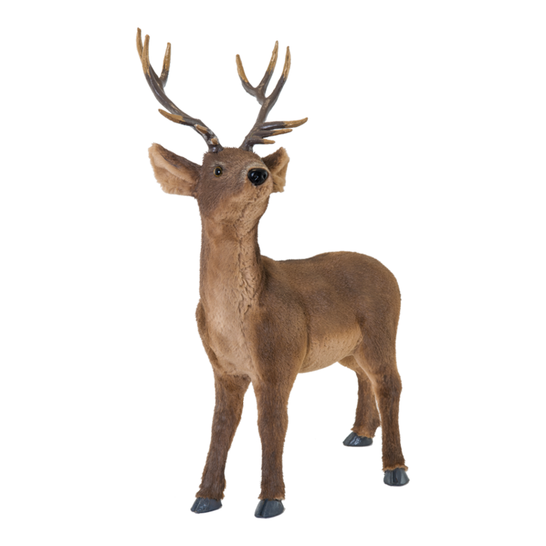 Deer,