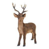 Deer,