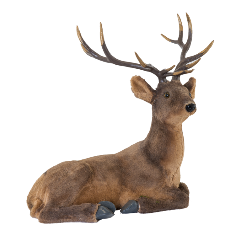 Deer,
