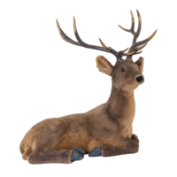 Deer,
