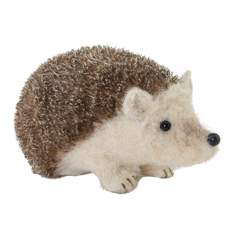 Hedgehog,