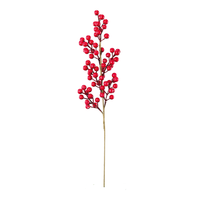 Berry twig,