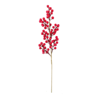 Berry twig,